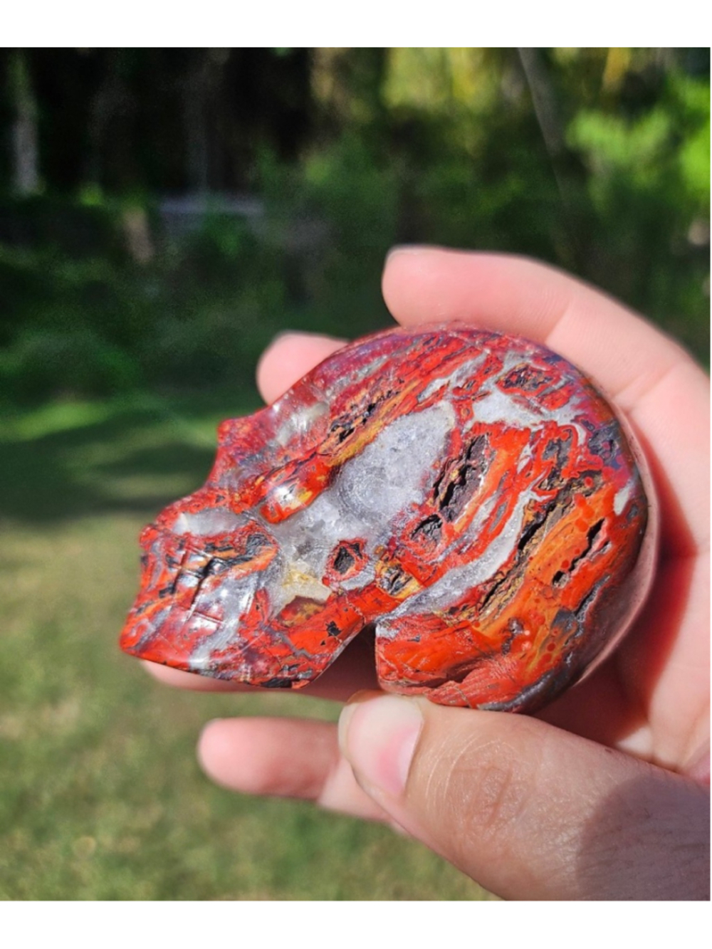 Red crazy lace skull 3 in